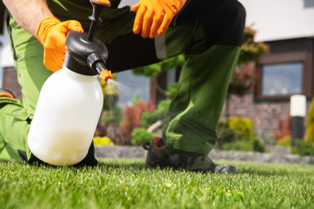 Pest Control for Restaurants in Yorktown, TX