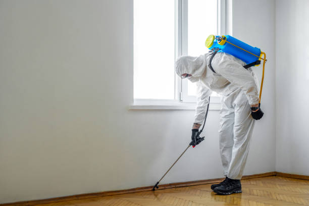 Best Pest Control for Restaurants  in Yorktown, TX