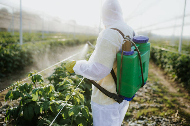 Best Flea Control Services  in Yorktown, TX